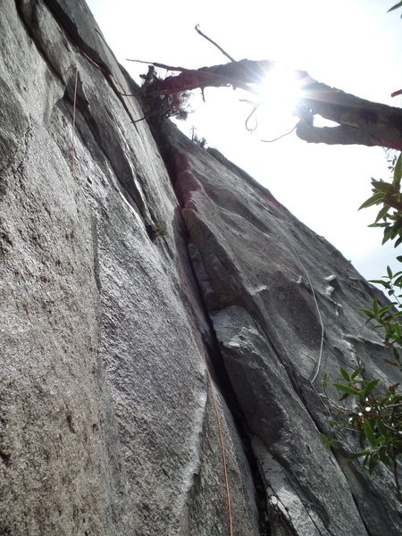 climb up the obvious chimney to the large tree