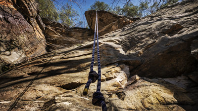 a 60m will just touch the ground with stretch - knot the ends