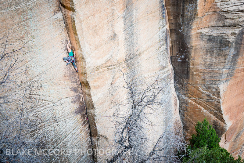 Anne Mariah Tapp on the Second Ascent of the Golden Sweater, The Odyssey Wall.<br>
<br>
Photo blakemccordphoto.com