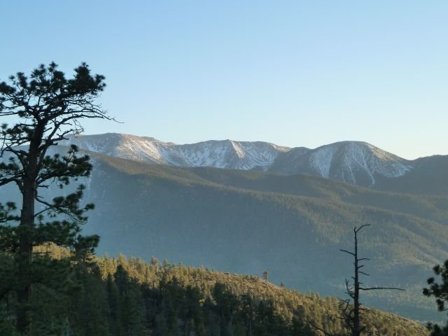 Mt. San Gorgonio from 2N93, San Bernardino Mountains