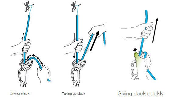 Petzl recommended belay method