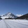 Looking south on the parkway, at around Bow Lake.