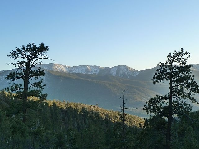 San Gorgonio Mountain from 2N93, Big Bear South