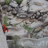 Sustained climbing above Barker Dam.