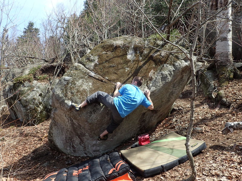 Paul on General Porcupine