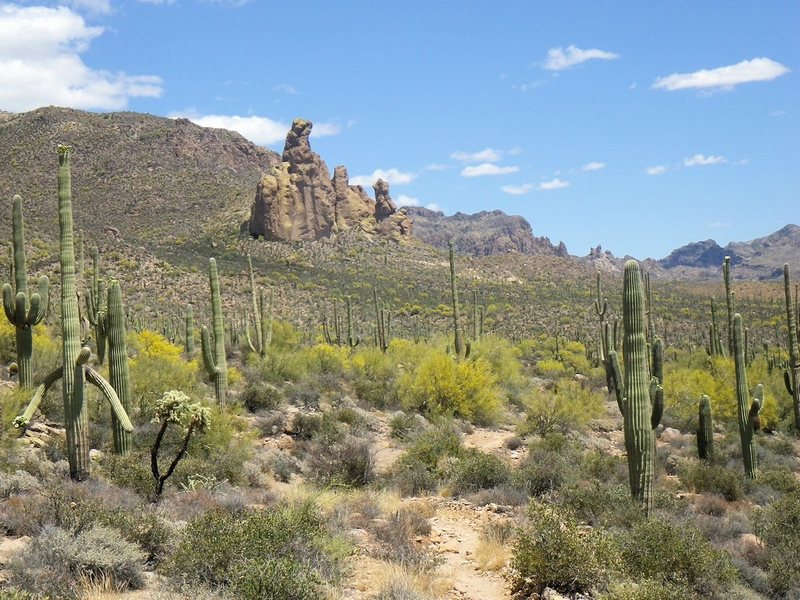 [[Sisyphus Pinnacles]]109945645 from the Dutchman's Trail.