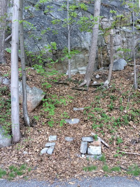 Bitchy Virgin approach trail (note immense boulder in back). The next trail is:  [[V-3]]110455098