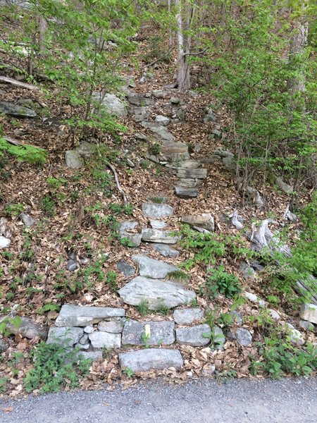 Welcome to the Gunks approach trail. The next trail is [[Minty]]110455127