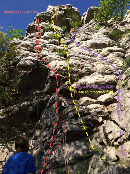 Good Overall View of the right side of Faint's Roof Area<br>
From L-R:<br>
Blood and Pus (on left side, follow streaks up to roof, pull at small crack)<br>
Ounce of Perception (thru two v-notched roofs)<br>
Pound of Obscure (from upper ledge, climb up/left following streaks passing left of a bulge)