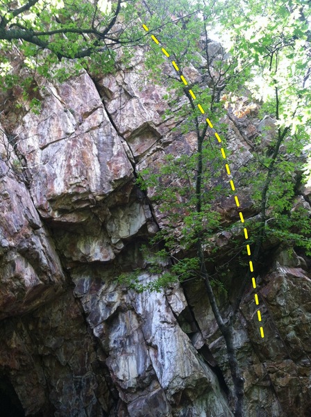 This is the south facing "cave" area on the east side of the wall where Lycra eater(5.10 hand crack in middle)is located. Bolted route goes right up behind tree. 