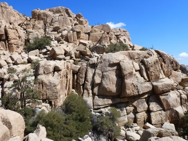 The north side of X Factor Dome, Joshua Tree NP