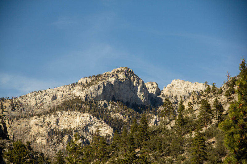 Mt. Charleston<br>
<br>
Photo: Tyler Casey