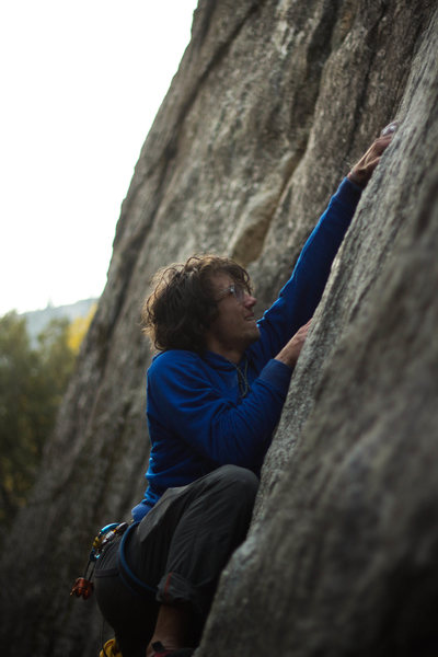 Church Bowl Tree<br>
<br>
Photo: Tyler Casey