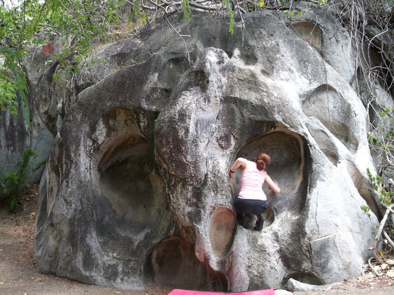 Jennifer perched in the skull's eye socket.