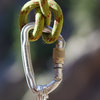 Wedding Rings clove hitched to locking carabiner