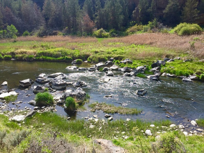 View along the trail