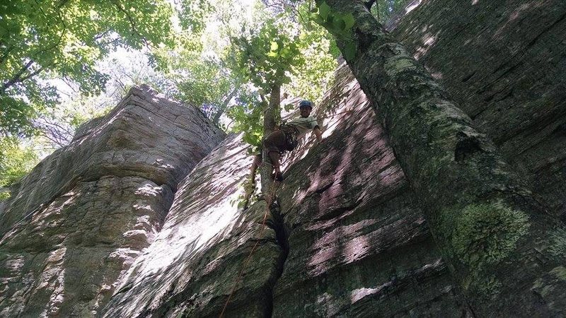 The tree that identifies Leech Line and Spork. Head right for Spork, head left for Leech Line