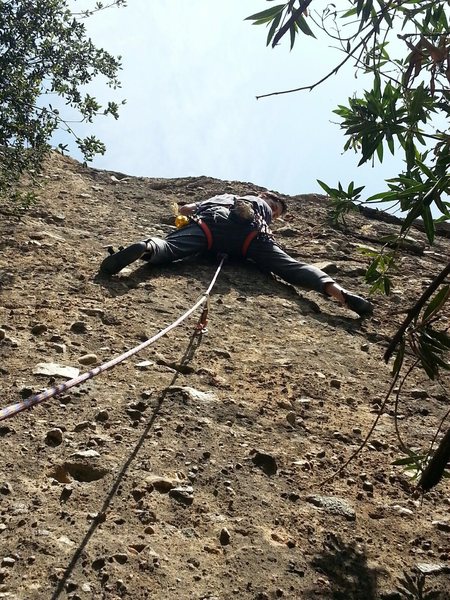 Passed the first bolt, thinking carefully as to commit or not to the much higher second. Keep in mind a prickly tree will help you meet your doom if you come off the cheese grater rock.