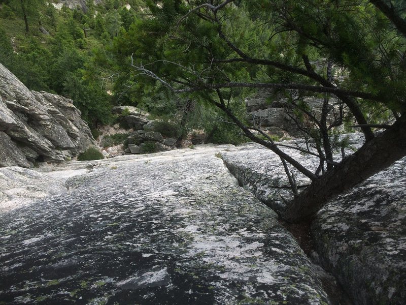 Route before cleaning.. whos a big grown up tree now! (see castle crags Falcon18) 