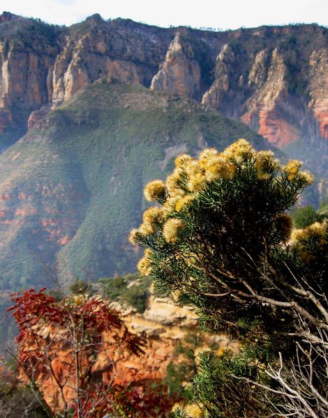 Looking across canyon from The Waterfall.