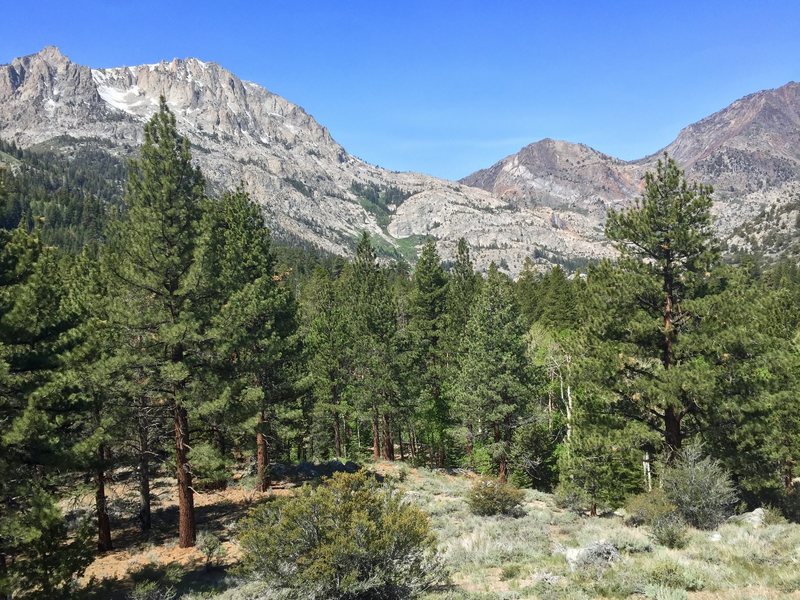 Beautiful views west towards Horsetail Falls from the Sasquatch Patch bouldering area.