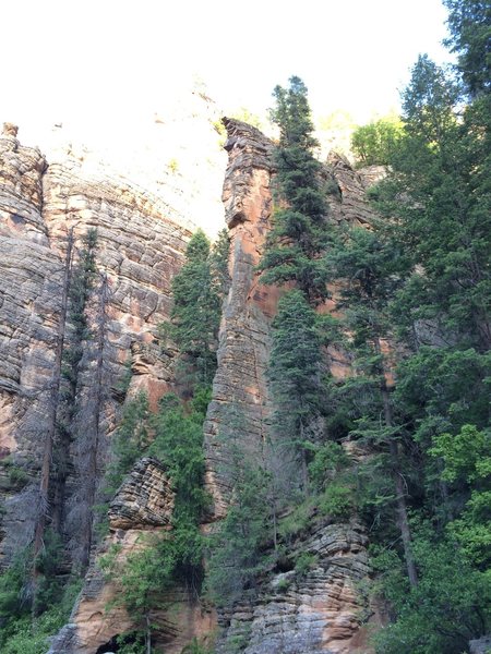 Tree Hugger - 5.10, 2 pitches