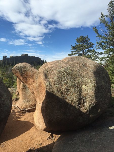 The boulder resembles a turtle.