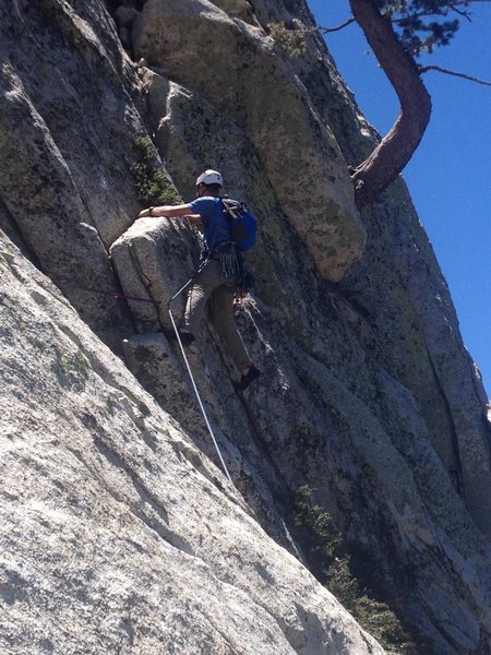 Starting the J tree pitch that looks intimidating from below but Pro is good.