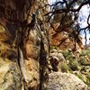 Richard Shore leading Crack Queen 5.11a