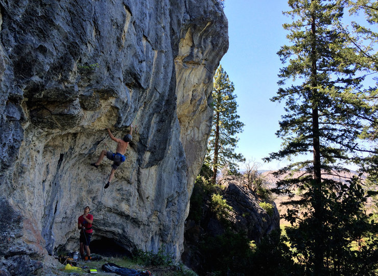 Crux dyno