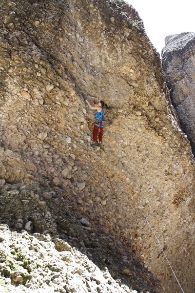 Tiff climbing Maple Pickles.