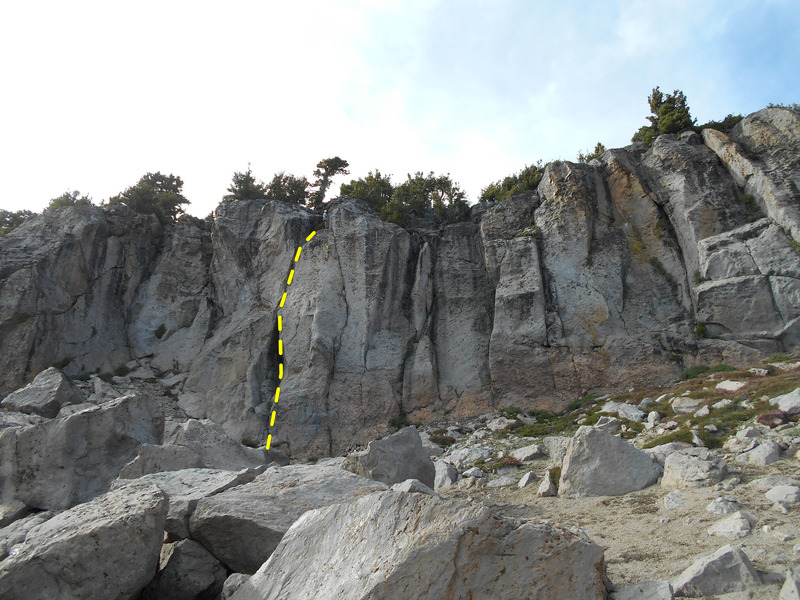 Nothing Special. Note the climbers to the right, on Stegosaurus, for scale.