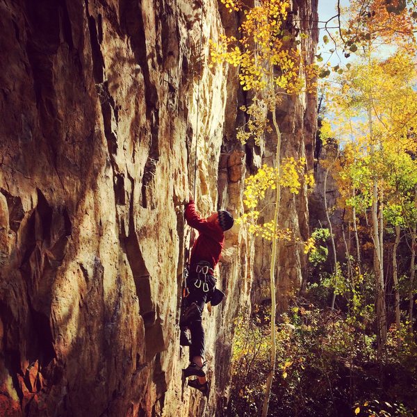 Gabe Collins late fall day on Grassy Knoll.