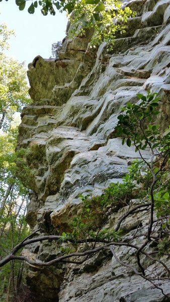 The bolted section of the route climbs this dihedral. 