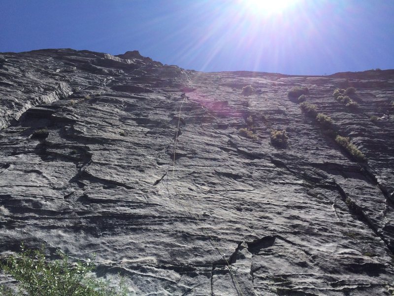 Looking straight up Bear's Reach