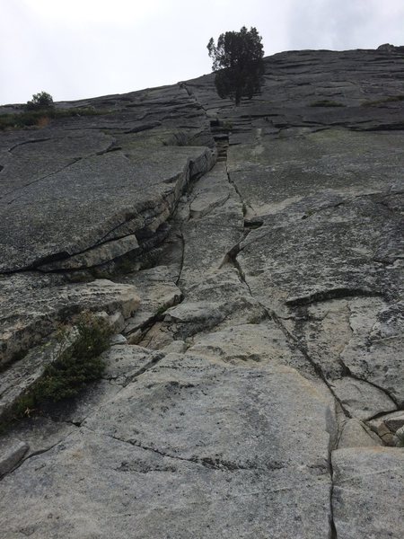 Pitch 1 is a very easy scramble to the belay tree, unless you want to finish the climb in 2 pitches.