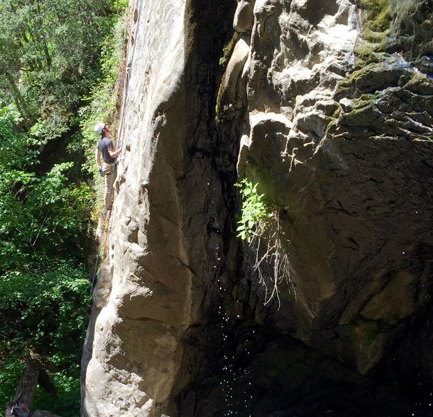 Climbing the Falls