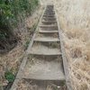 The path to the top of the columns at Skinner's Butte. Watch out for the Poison Oak.