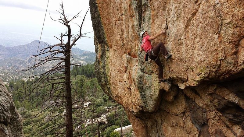 Fighting past the crimps and into the side pulls.<br>
<br>
Photo by Eric Fazio-Richard