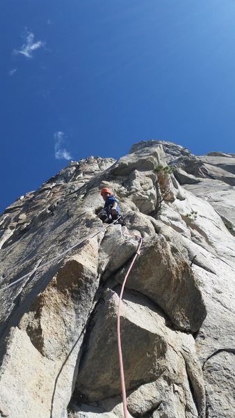 Vitaliy post crux on P5