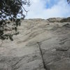 Looking up at the first pitch crack