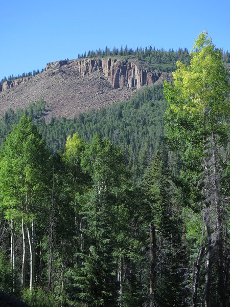 The Upper Jungle perching at 10,000 feet