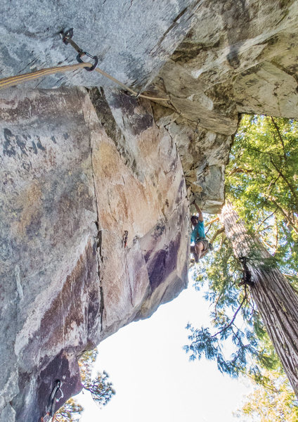 Nic pulling over to the arete on Looser's Club. 