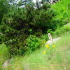 The 430 concrete trail marker leading up to the route.