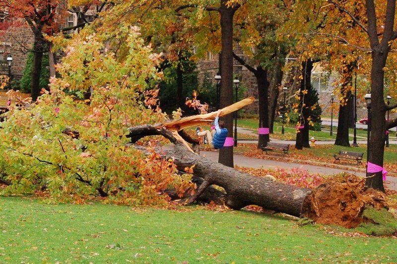 After math of a early snow storm in Bethlehem.