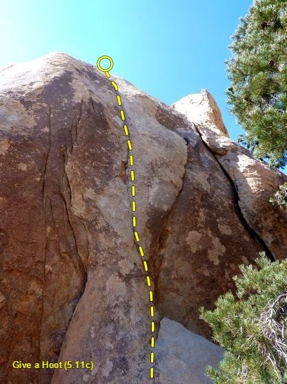 Give a Hoot (5.11c), Joshua Tree NP 