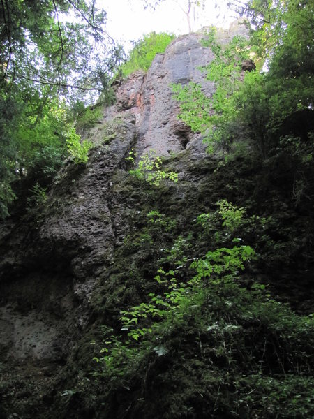 The start of Land in Sicht is at the lower left of the picture and follows it up the middle, past the tree at the top and continues to the summit.