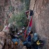 Crowded ledge on the Shield.