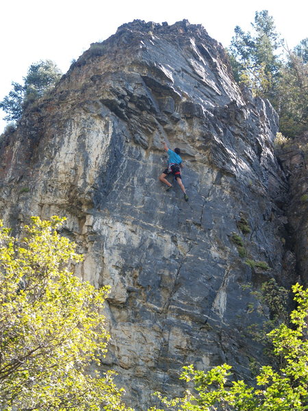 Unknown climber making the final moves on a true AF classic, Isotoner Moaner 5.12b