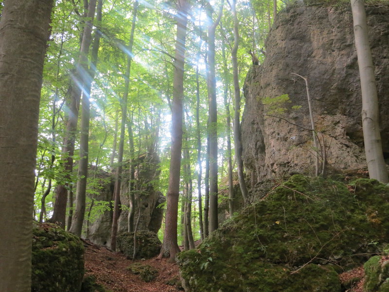 The Hintere Wand (right) and back side of the Kleiner Bärnfelser Turm (left).